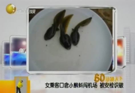 女乘客攜3只蝌蚪遭廣州機(jī)場行李安檢機(jī)掃描發(fā)現(xiàn)[圖]